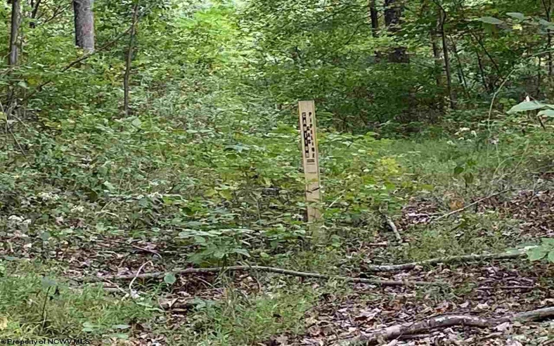 TBD Helen's Run Road, Worthington, West Virginia 26591, ,Lots/land,For Sale,Helen's Run,10161542