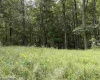 TBD Helen's Run Road, Worthington, West Virginia 26591, ,Lots/land,For Sale,Helen's Run,10161542