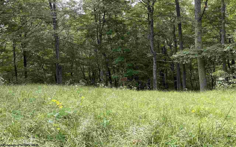 TBD Helen's Run Road, Worthington, West Virginia 26591, ,Lots/land,For Sale,Helen's Run,10161542