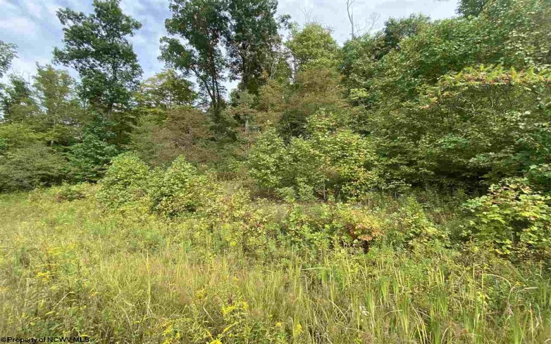 TBD Helen's Run Road, Worthington, West Virginia 26591, ,Lots/land,For Sale,Helen's Run,10161542