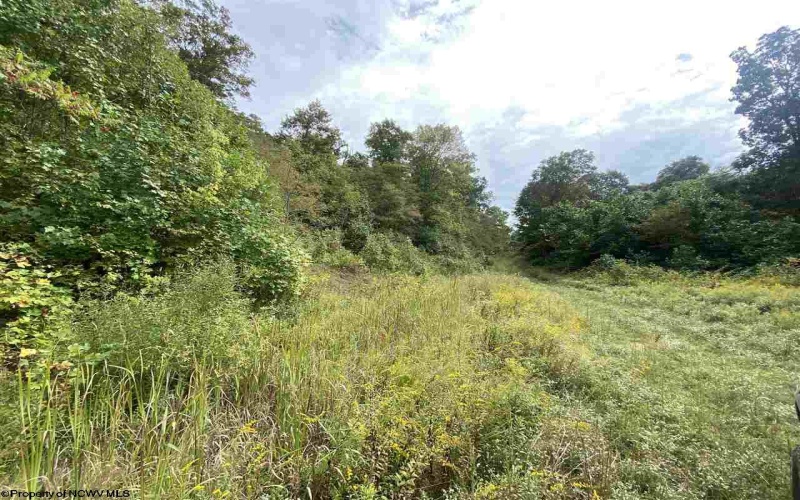 TBD Helen's Run Road, Worthington, West Virginia 26591, ,Lots/land,For Sale,Helen's Run,10161542