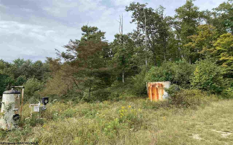 TBD Helen's Run Road, Worthington, West Virginia 26591, ,Lots/land,For Sale,Helen's Run,10161542