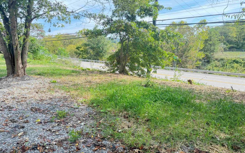 1672 Milford Street, Clarksburg, West Virginia 26301, ,Lots/land,For Sale,Milford,10161574
