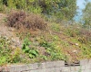 1672 Milford Street, Clarksburg, West Virginia 26301, ,Lots/land,For Sale,Milford,10161574