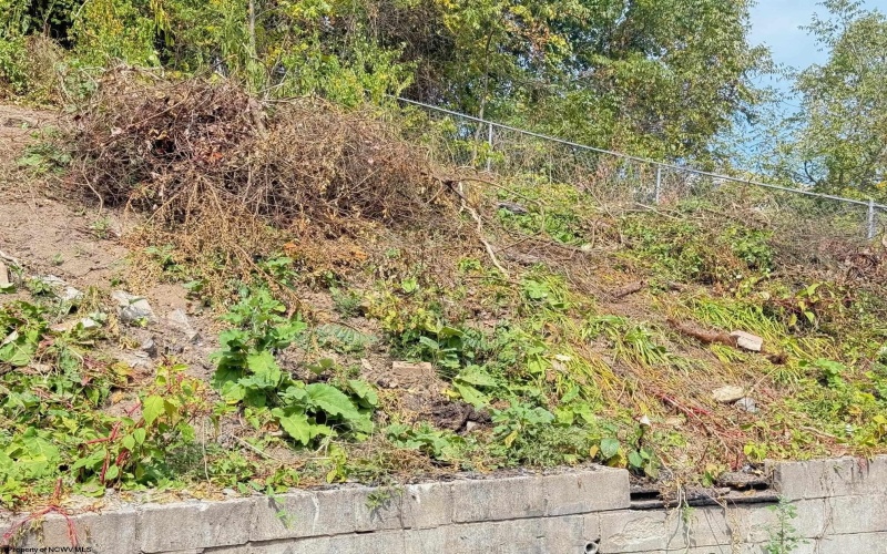 1672 Milford Street, Clarksburg, West Virginia 26301, ,Lots/land,For Sale,Milford,10161574