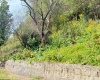 1672 Milford Street, Clarksburg, West Virginia 26301, ,Lots/land,For Sale,Milford,10161574