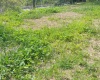 1672 Milford Street, Clarksburg, West Virginia 26301, ,Lots/land,For Sale,Milford,10161574