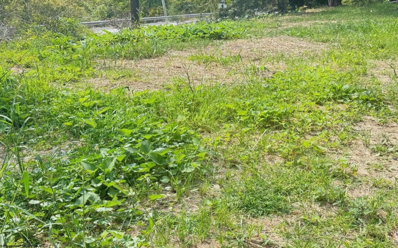 1672 Milford Street, Clarksburg, West Virginia 26301, ,Lots/land,For Sale,Milford,10161574