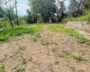 1672 Milford Street, Clarksburg, West Virginia 26301, ,Lots/land,For Sale,Milford,10161574