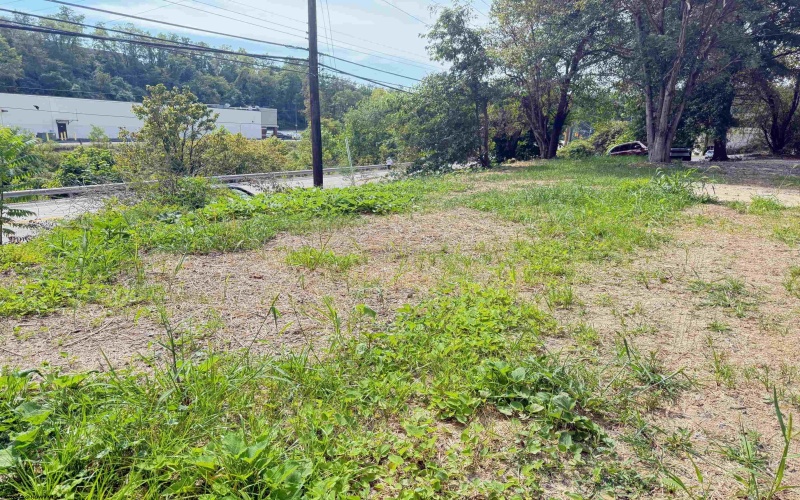 1672 Milford Street, Clarksburg, West Virginia 26301, ,Lots/land,For Sale,Milford,10161574