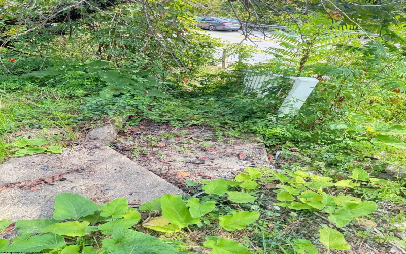 1672 Milford Street, Clarksburg, West Virginia 26301, ,Lots/land,For Sale,Milford,10161574