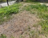 1672 Milford Street, Clarksburg, West Virginia 26301, ,Lots/land,For Sale,Milford,10161574