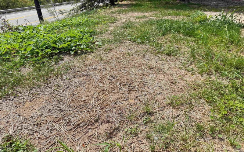 1672 Milford Street, Clarksburg, West Virginia 26301, ,Lots/land,For Sale,Milford,10161574