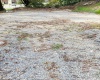 1672 Milford Street, Clarksburg, West Virginia 26301, ,Lots/land,For Sale,Milford,10161574