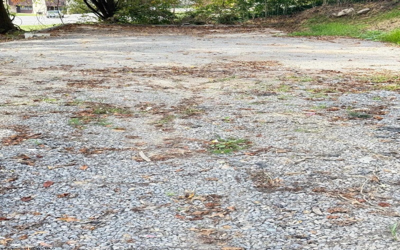 1672 Milford Street, Clarksburg, West Virginia 26301, ,Lots/land,For Sale,Milford,10161574