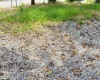1672 Milford Street, Clarksburg, West Virginia 26301, ,Lots/land,For Sale,Milford,10161574