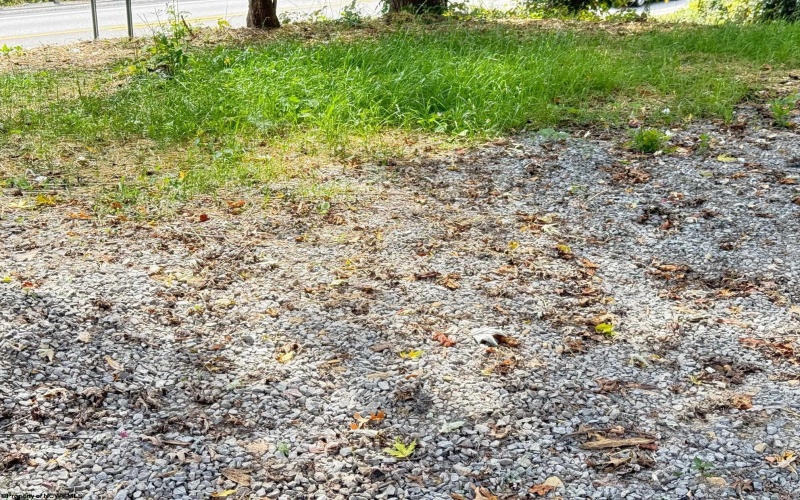 1672 Milford Street, Clarksburg, West Virginia 26301, ,Lots/land,For Sale,Milford,10161574
