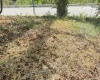 1672 Milford Street, Clarksburg, West Virginia 26301, ,Lots/land,For Sale,Milford,10161574