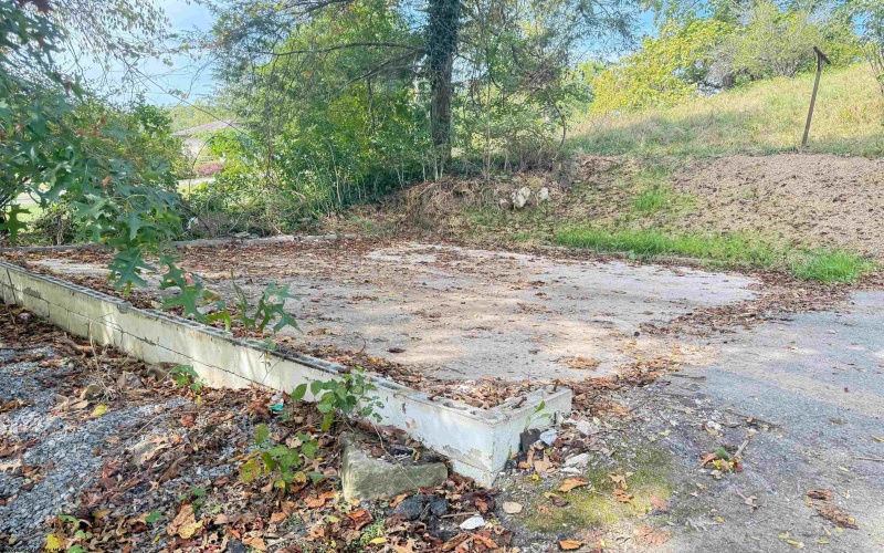 1672 Milford Street, Clarksburg, West Virginia 26301, ,Lots/land,For Sale,Milford,10161574