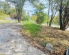 1672 Milford Street, Clarksburg, West Virginia 26301, ,Lots/land,For Sale,Milford,10161574
