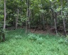 211 Tunnel Hollow Road, Fairmont, West Virginia 26554, 3 Bedrooms Bedrooms, 7 Rooms Rooms,2 BathroomsBathrooms,Single Family Detached,For Sale,Tunnel Hollow,10161569