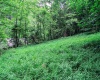 211 Tunnel Hollow Road, Fairmont, West Virginia 26554, 3 Bedrooms Bedrooms, 7 Rooms Rooms,2 BathroomsBathrooms,Single Family Detached,For Sale,Tunnel Hollow,10161569