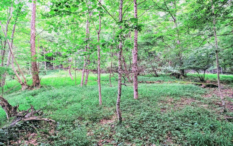 211 Tunnel Hollow Road, Fairmont, West Virginia 26554, 3 Bedrooms Bedrooms, 7 Rooms Rooms,2 BathroomsBathrooms,Single Family Detached,For Sale,Tunnel Hollow,10161569