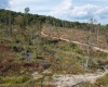 Lot 1-3 998 Hanlin Road, Bruceton Mills, West Virginia 26525, ,Lots/land,For Sale,Hanlin,10161579