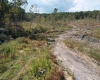 Lot 1-3 998 Hanlin Road, Bruceton Mills, West Virginia 26525, ,Lots/land,For Sale,Hanlin,10161579