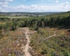 Lot 1-3 998 Hanlin Road, Bruceton Mills, West Virginia 26525, ,Lots/land,For Sale,Hanlin,10161579