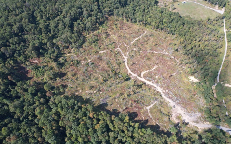 Lot 1-3 998 Hanlin Road, Bruceton Mills, West Virginia 26525, ,Lots/land,For Sale,Hanlin,10161579