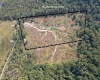 Lot 1-3 998 Hanlin Road, Bruceton Mills, West Virginia 26525, ,Lots/land,For Sale,Hanlin,10161579