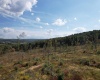 Lot 1-3 998 Hanlin Road, Bruceton Mills, West Virginia 26525, ,Lots/land,For Sale,Hanlin,10161579