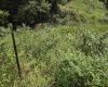 00 Scotts Run, Maidsville, West Virginia 26541, ,Lots/land,For Sale,Scotts,10161583
