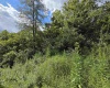 00 Scotts Run, Maidsville, West Virginia 26541, ,Lots/land,For Sale,Scotts,10161583