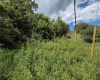 00 Scotts Run, Maidsville, West Virginia 26541, ,Lots/land,For Sale,Scotts,10161583
