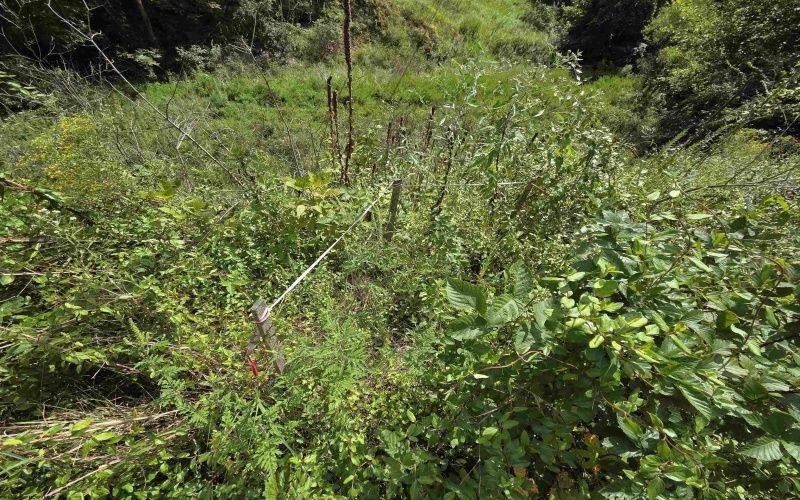 00 Scotts Run, Maidsville, West Virginia 26541, ,Lots/land,For Sale,Scotts,10161583