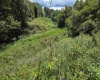 00 Scotts Run, Maidsville, West Virginia 26541, ,Lots/land,For Sale,Scotts,10161583
