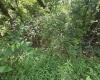 00 Scotts Run, Maidsville, West Virginia 26541, ,Lots/land,For Sale,Scotts,10161583