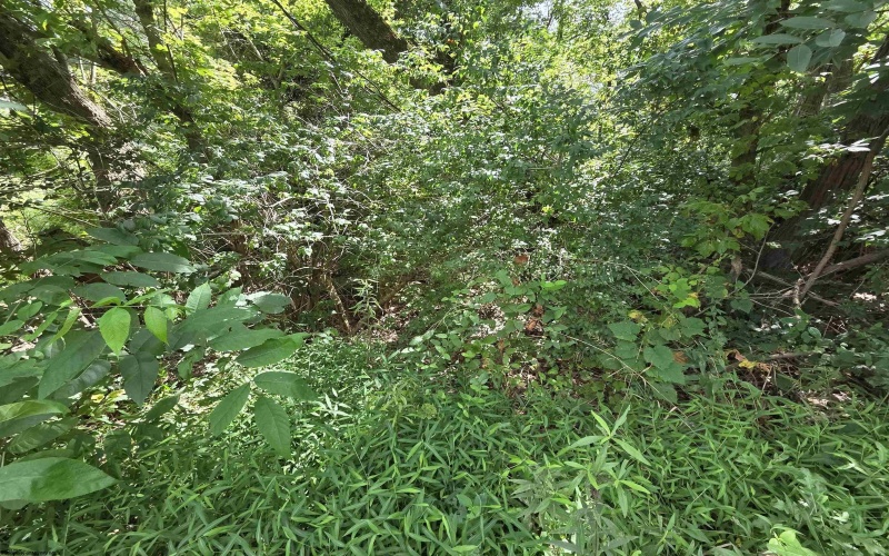 00 Scotts Run, Maidsville, West Virginia 26541, ,Lots/land,For Sale,Scotts,10161583