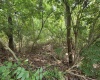 00 Scotts Run, Maidsville, West Virginia 26541, ,Lots/land,For Sale,Scotts,10161583
