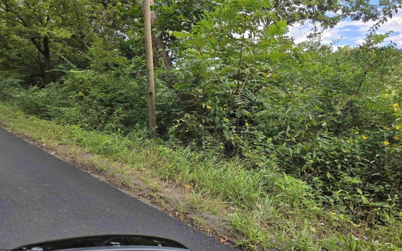 00 Scotts Run, Maidsville, West Virginia 26541, ,Lots/land,For Sale,Scotts,10161583