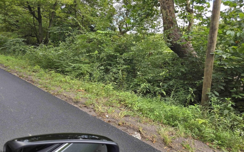 00 Scotts Run, Maidsville, West Virginia 26541, ,Lots/land,For Sale,Scotts,10161583
