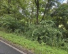 00 Scotts Run, Maidsville, West Virginia 26541, ,Lots/land,For Sale,Scotts,10161583