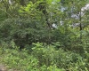 00 Scotts Run, Maidsville, West Virginia 26541, ,Lots/land,For Sale,Scotts,10161583