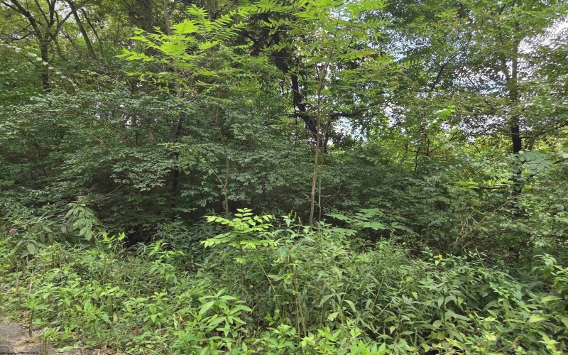 00 Scotts Run, Maidsville, West Virginia 26541, ,Lots/land,For Sale,Scotts,10161583