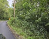 00 Scotts Run, Maidsville, West Virginia 26541, ,Lots/land,For Sale,Scotts,10161583
