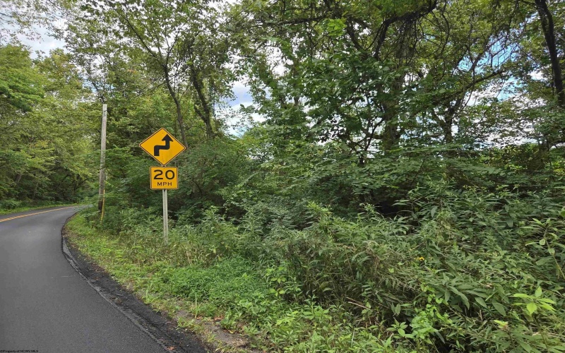 00 Scotts Run, Maidsville, West Virginia 26541, ,Lots/land,For Sale,Scotts,10161583