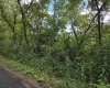 00 Scotts Run, Maidsville, West Virginia 26541, ,Lots/land,For Sale,Scotts,10161583