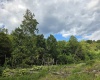 00 Scotts Run, Maidsville, West Virginia 26541, ,Lots/land,For Sale,Scotts,10161583